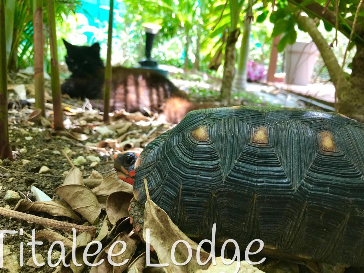 Titalee Lodge 3 Villas Autour D'Une Piscine Saint-Francois  Zewnętrze zdjęcie